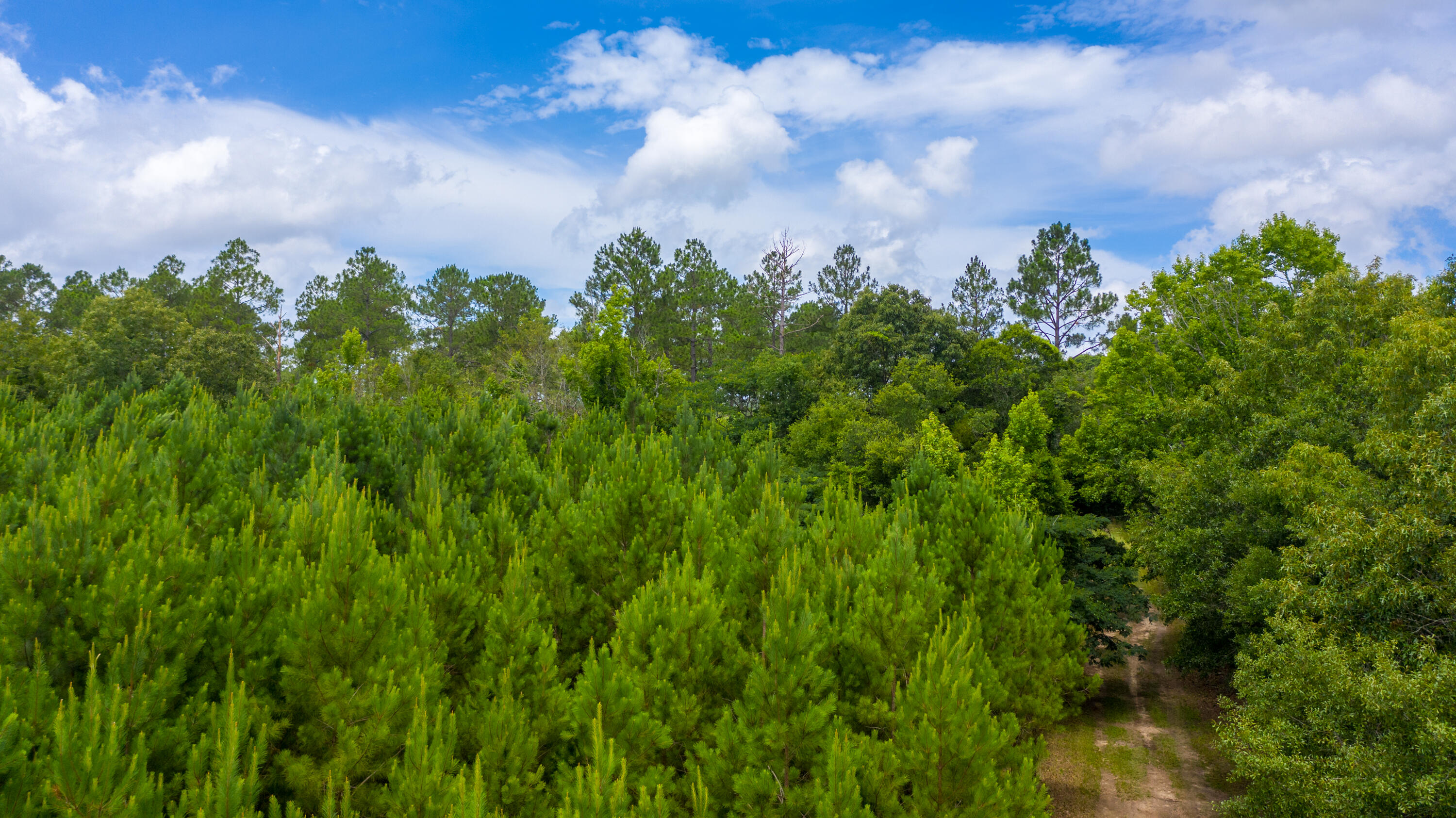 metes and bounds - Farm