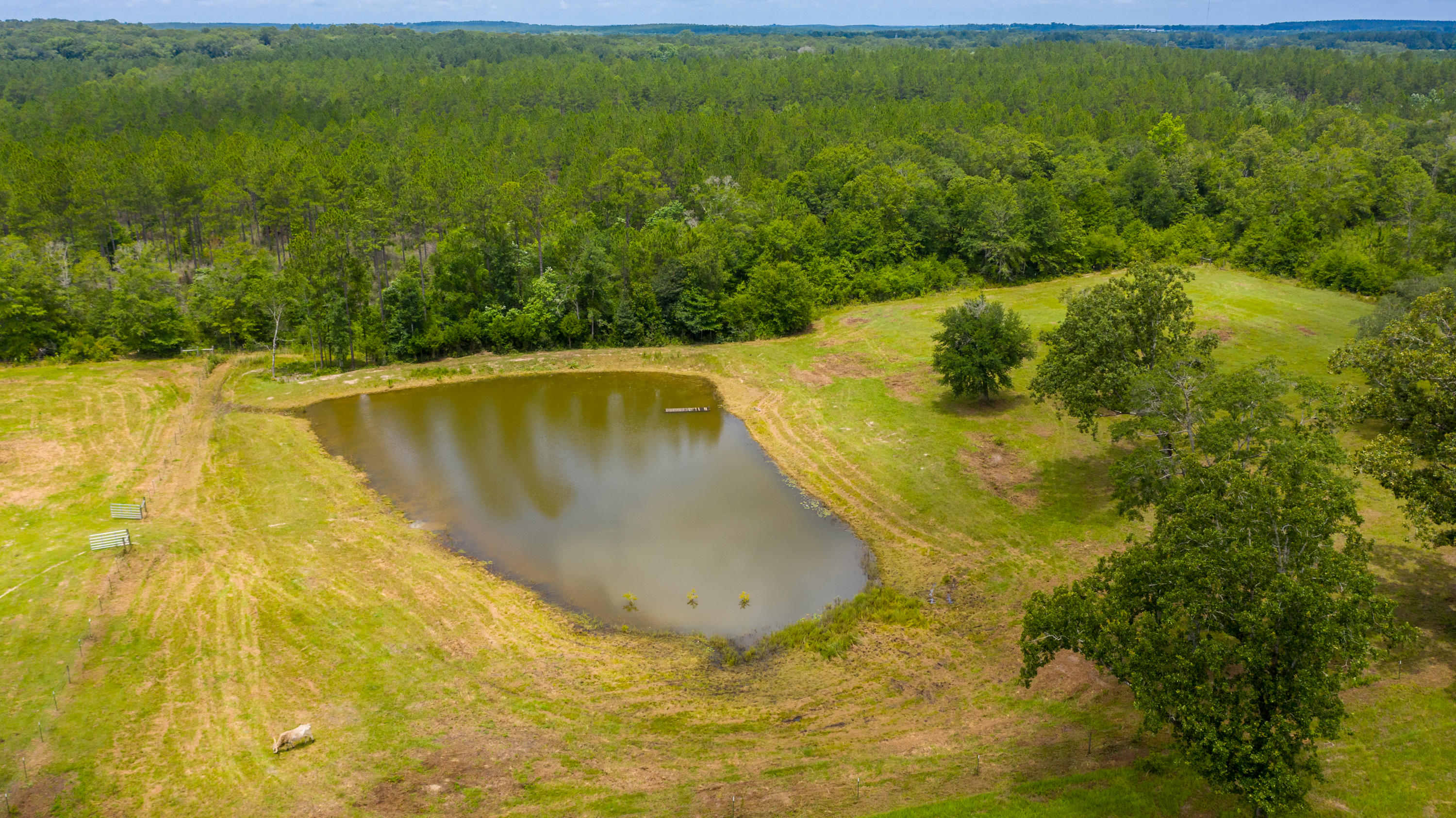 metes and bounds - Farm