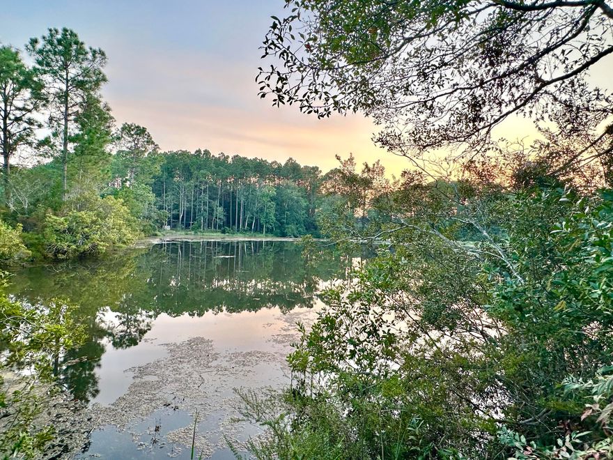 Rare find with Lake frontage! This 1.26 acre vacant lot is wooded and close to town. The lot orientation is such that a home built on the property would be positioned to overlook the lake, facing it from your front porch. There are homes on both sides of the lot so utilities are close by. Zoned county, this lot offers lower taxes that City living, yet your are less than 5 minutes from Main Street. With over 200 ft along the lake you could create a relaxing oasis. Buyer to verify all relevant factors they deem appropriate.