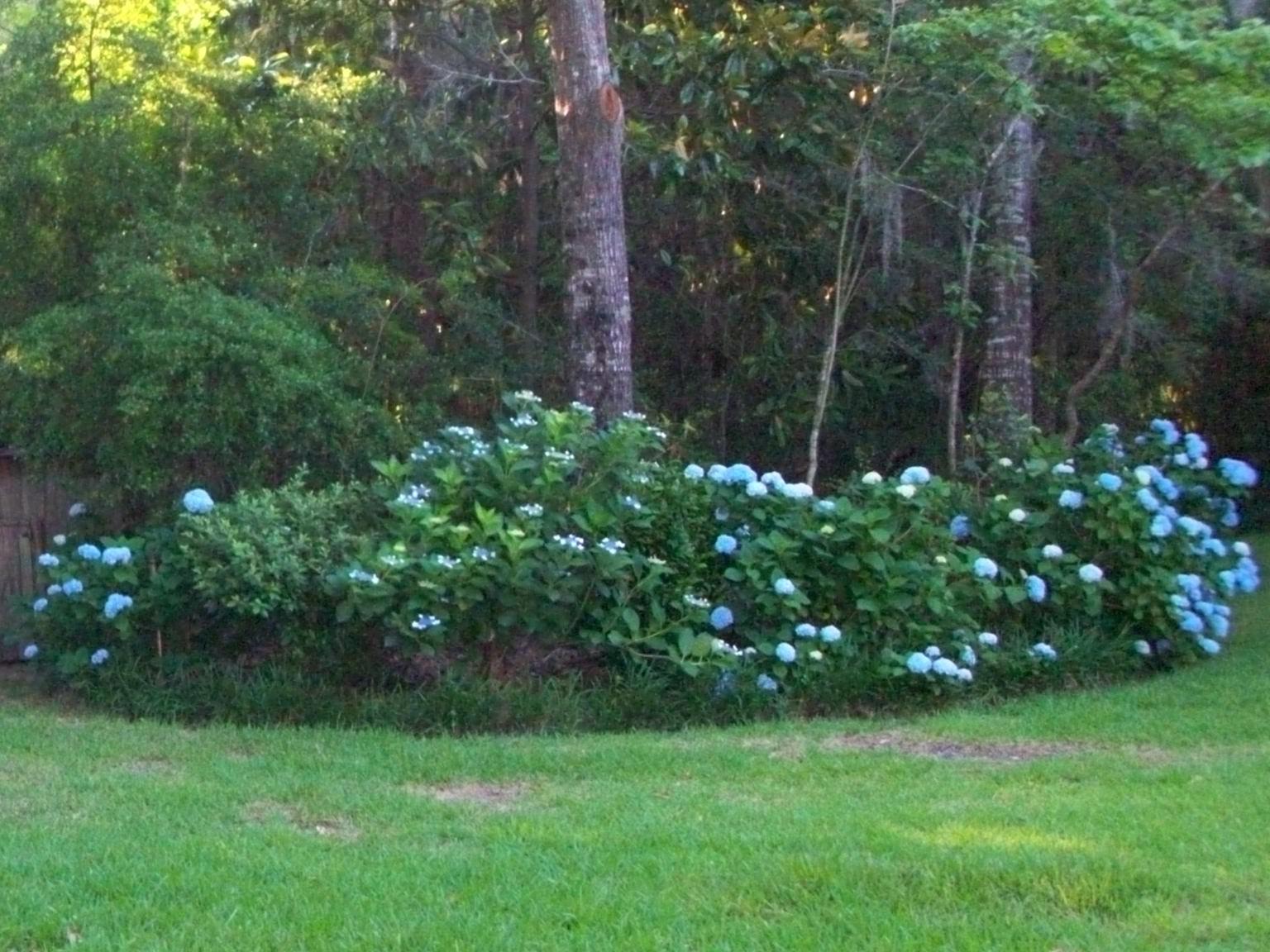 SPRING LAKE ESTATES - Residential