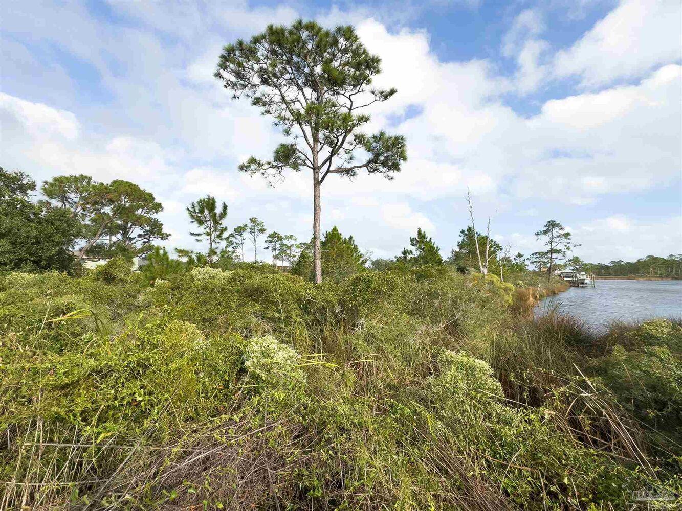 Water access, and only minutes away from the beautiful beaches in Perdido Key, FL! Build your dream home on this spacious .48-acre lot at 13431 Gongora Drive. Enjoy stunning water views and convenient water access. Close to waterfront restaurants, marine fuel, shopping, and services. Plus, no HOA!