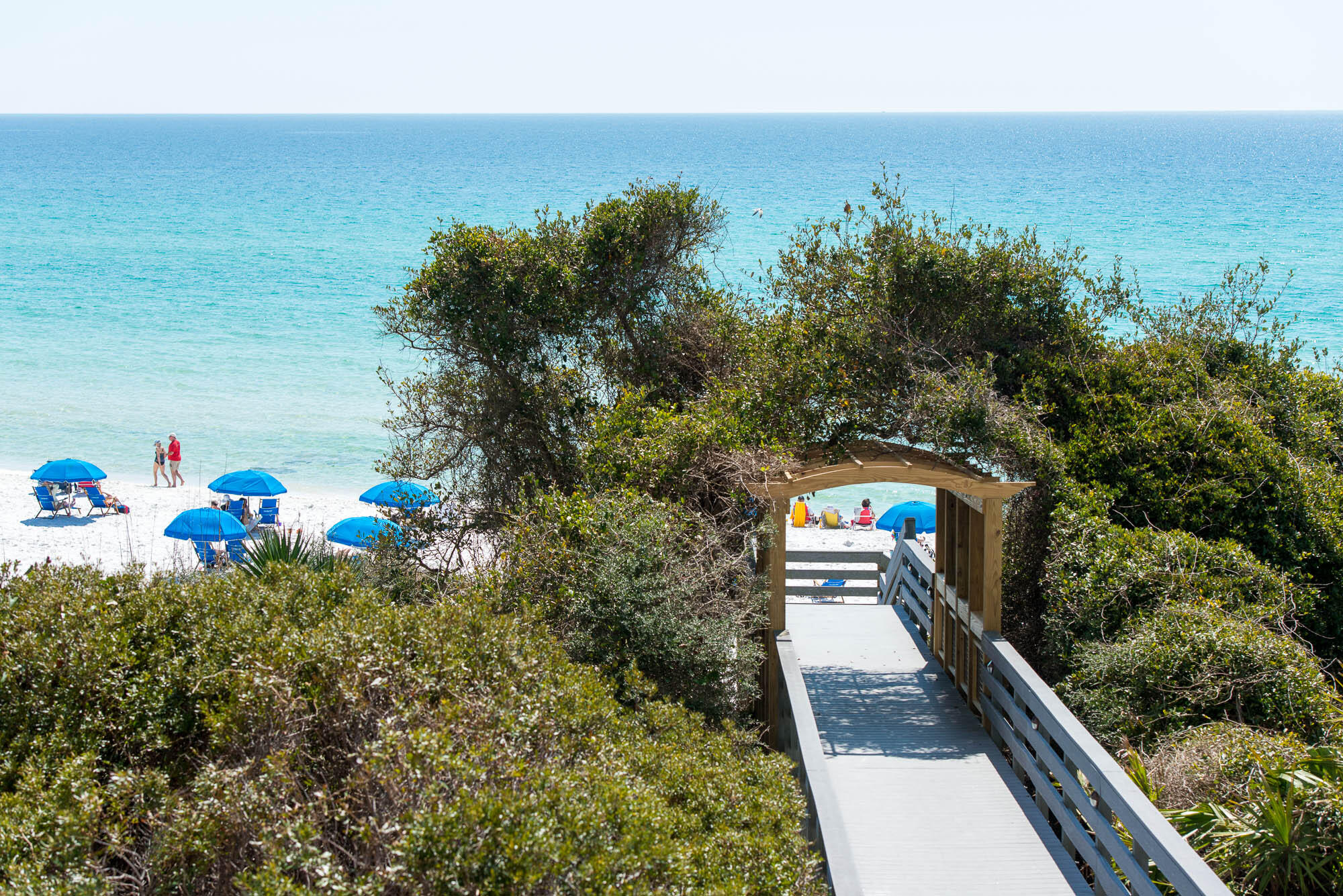 ONE SEAGROVE PLACE CONDOMINIUMS - Residential