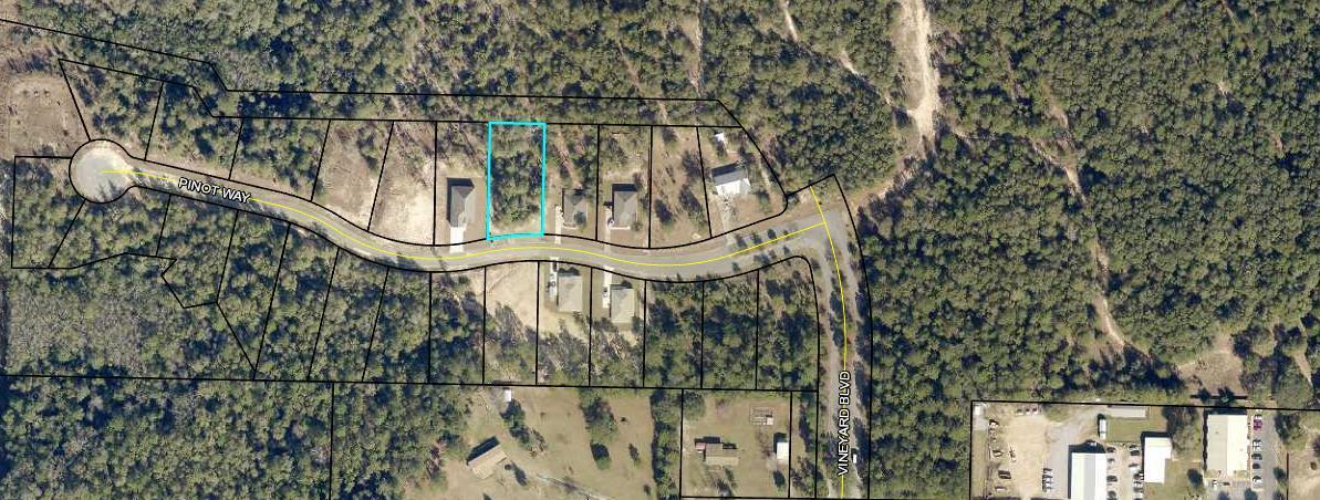 Majestic Oaks Vineyard - Land
