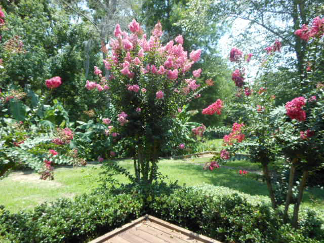 OVERBROOK 1ST ADDN - Residential