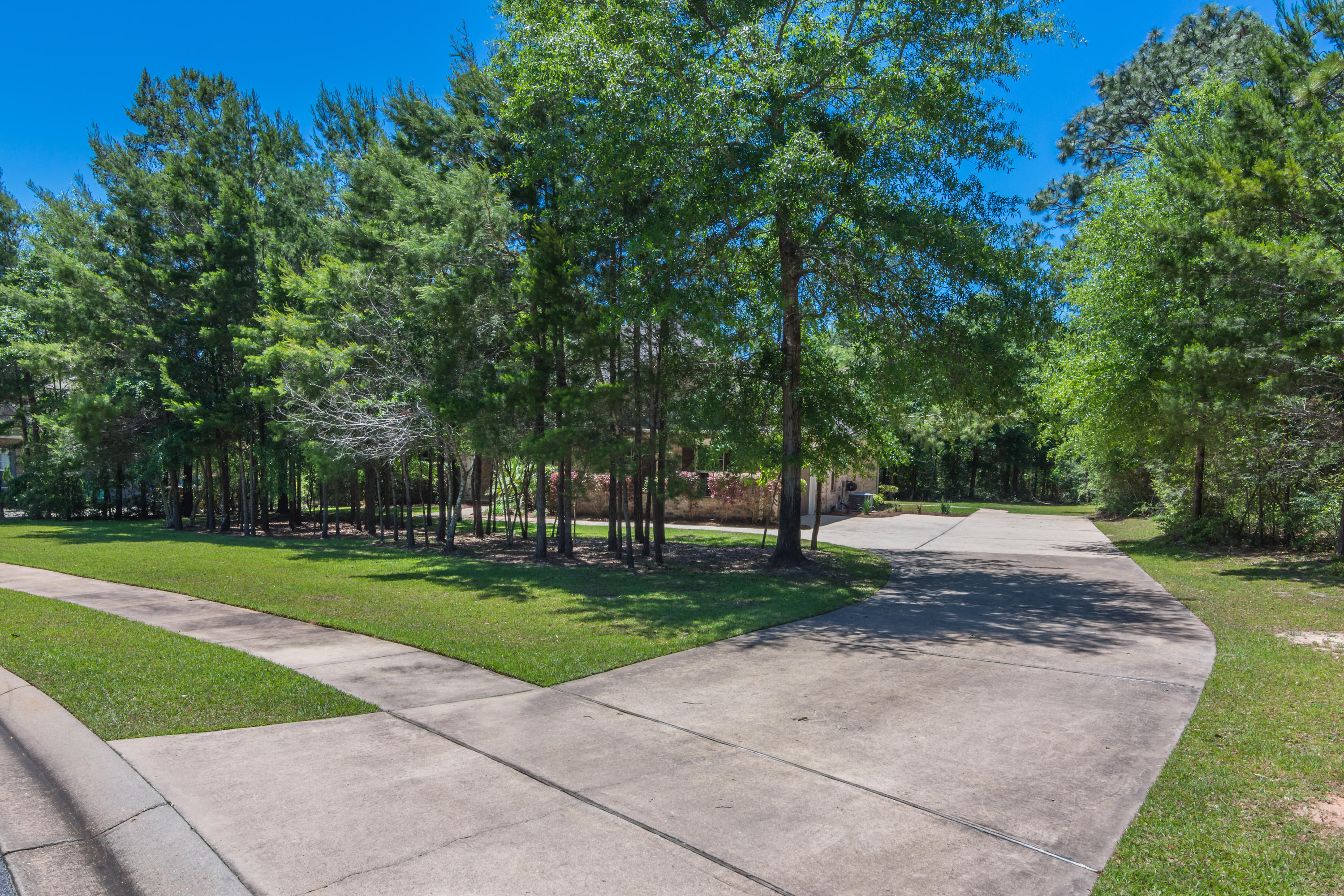 CAMELLIA COVE - Residential