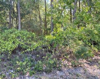 Look no further, here is a 1.06 acre wooded lot on a private driveway easement. You will find beautiful Live Oak and Pine Trees on the property that will add to your privacy. Plenty of space to build your dream home and still have room for a pool, workshop, garage, boat or RV storage. Just a 6 minute drive to Windswept Golf Course, 30 minutes to the ECP airport and less than a 30 minute drive to the beach. There is no HOA in this neighborhood. This property sits in Flood Zone X.