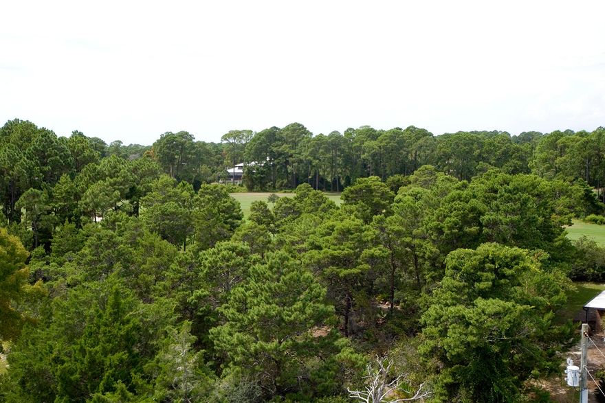 This fabulous, .64-acre lot on a quiet cul-de-sac is an ideal location to build a primary residence or second home overlooking the Santa Rosa Beach golf course. Its ample size allows it to accommodate a single-story home or two to three story home with guest house and pool if desired. Its high elevation will afford terrific views of the golf course. There is no build-out time in this lovely, private neighborhood. Enjoy easy access to the amenities the beach lifestyle offers. This lot is just under one and a half miles from public beach access at Ed Walline Park, minutes from shopping and dining at Gulf Place along Scenic Highway 30A, as well as just minutes away from Highway 98, the post office, grocery stores and other local merchants.