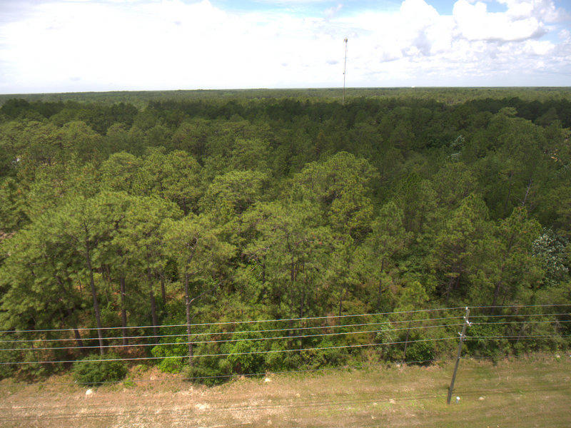 Freeport - Land