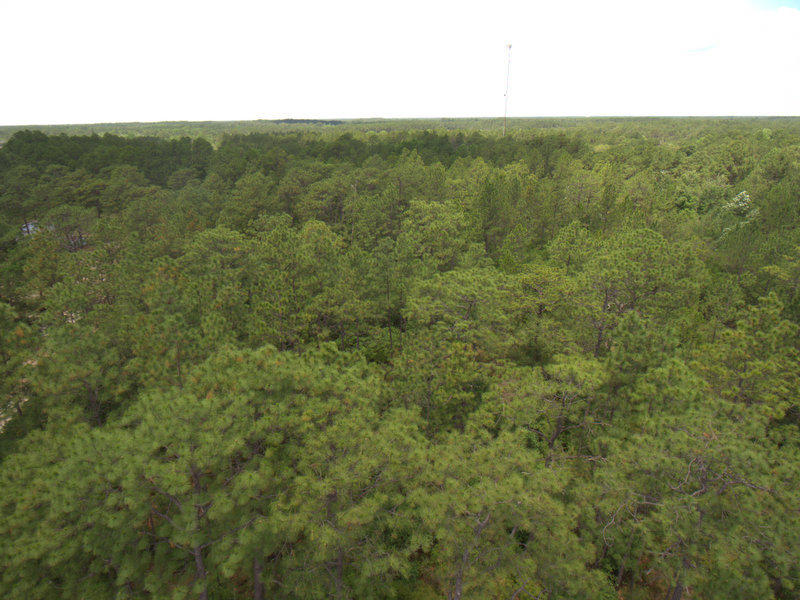 Freeport - Land