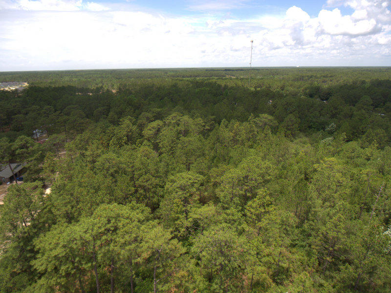 Freeport - Land