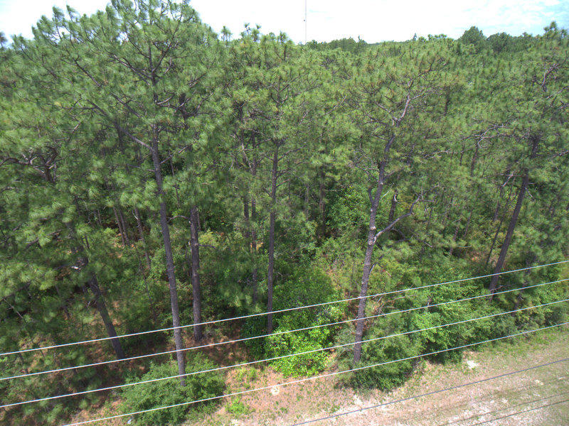 Freeport - Land