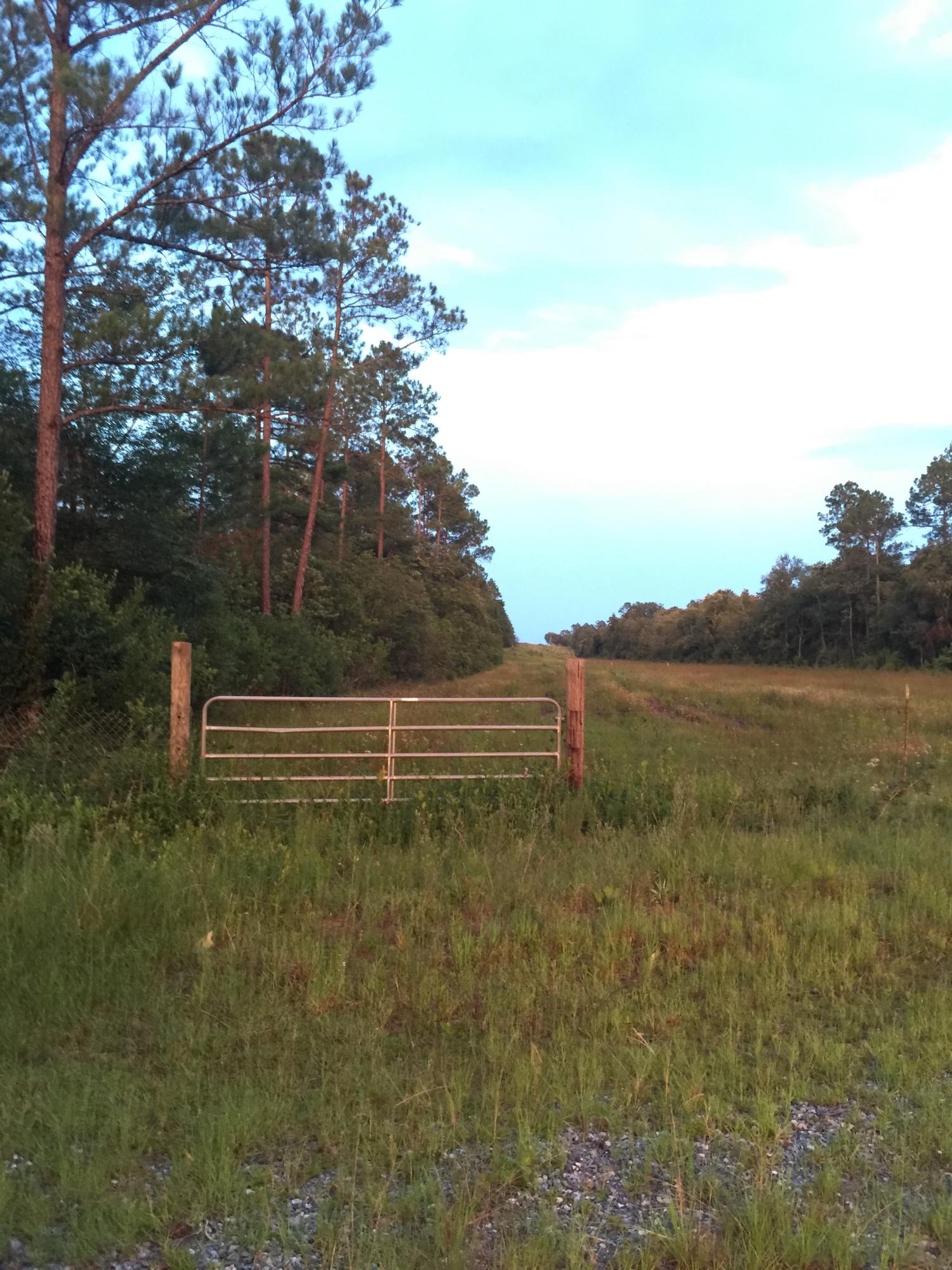 REO - Approx 40 acres. Very nicely wooded. Maybe a small pond. There is a good bit of timber. Zoning is agricultural. Part of property is in 100 year flood zone. There is a Homeowner's Association, $100 per year. If you like camping or just walking in the woods, you will love this property. There are a couple of small creeks on the property also. Seller will divide.
