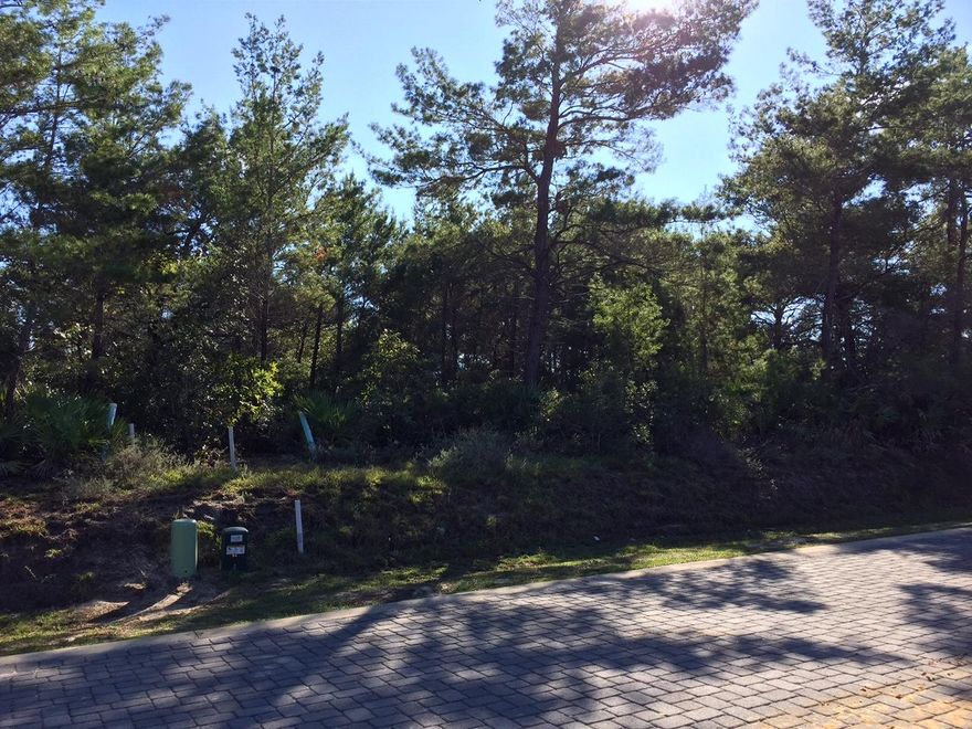 Paradise awaits you at the beautiful gated community of Frangista Beach in Miramar Beach. Drive down the paver lined streets with lush landscaping. There are so many amenities to enjoy in this resort community whether it's swimming in the sparkling pool or relaxing in the community clubhouse or walking on the beach using your deeded beach access. This is an up and coming desirable community. Grab this gorgeous lot before it's gone. Paradise is waiting!