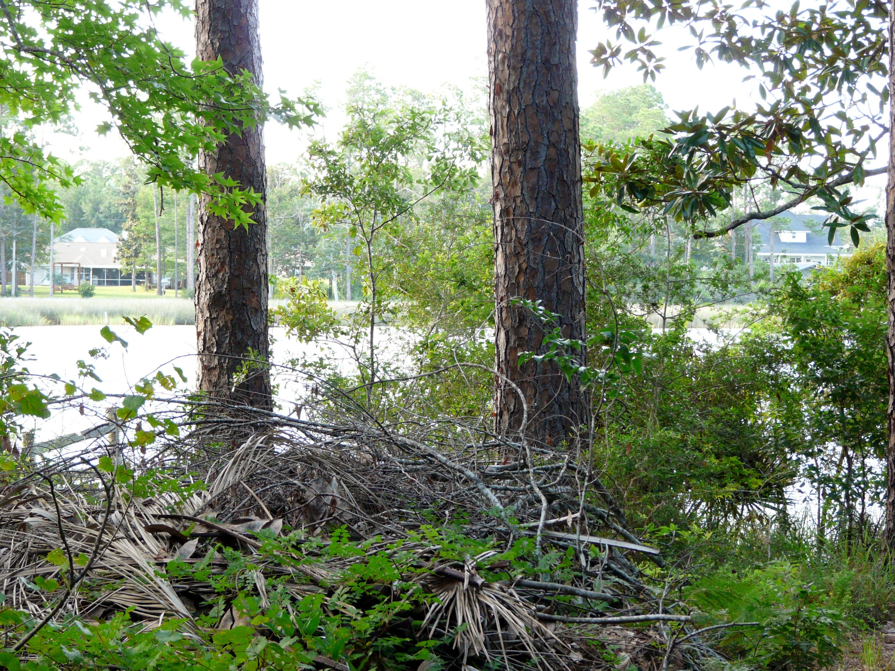 AVALON BEACH - Residential