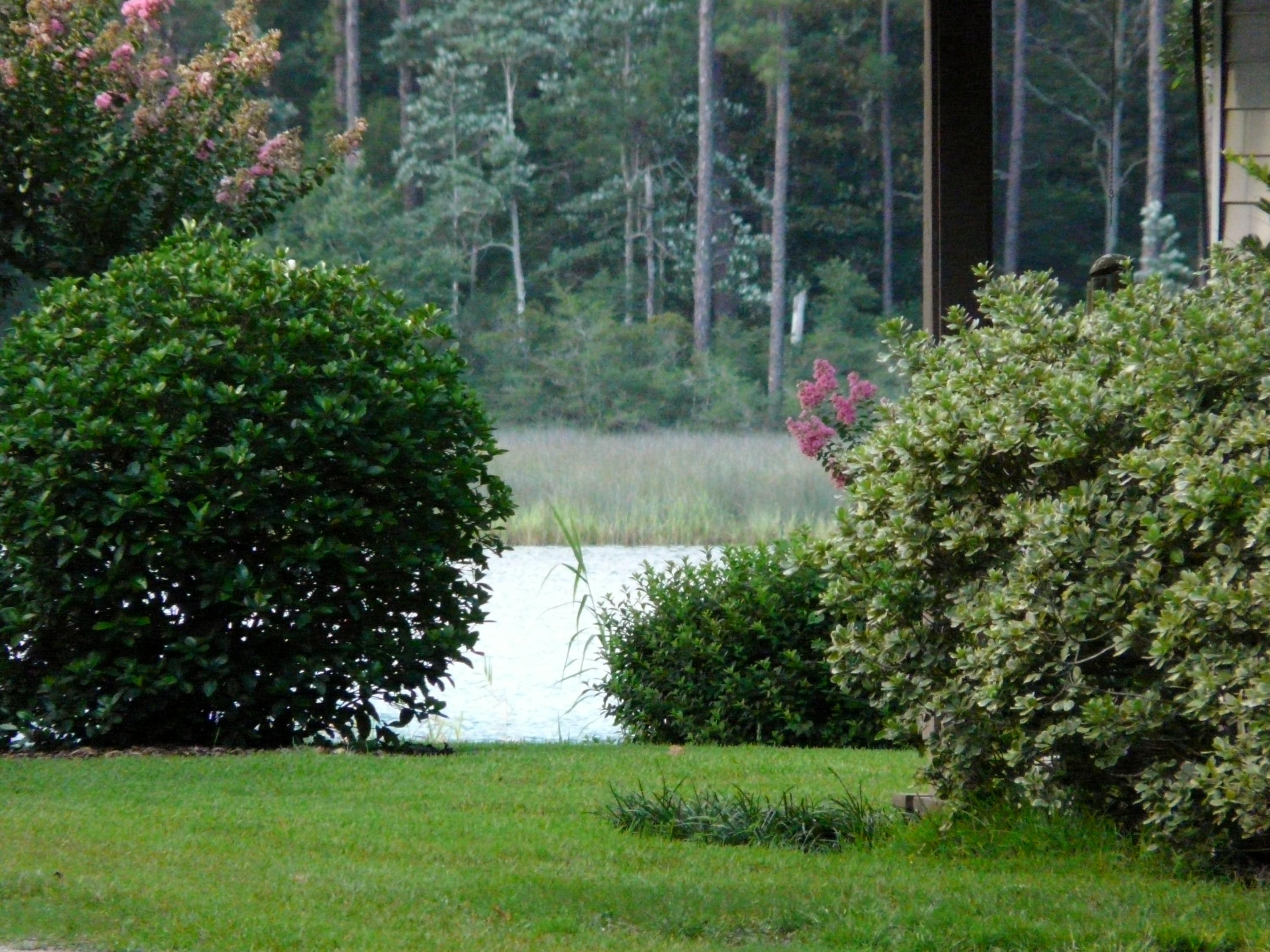 AVALON BEACH - Residential