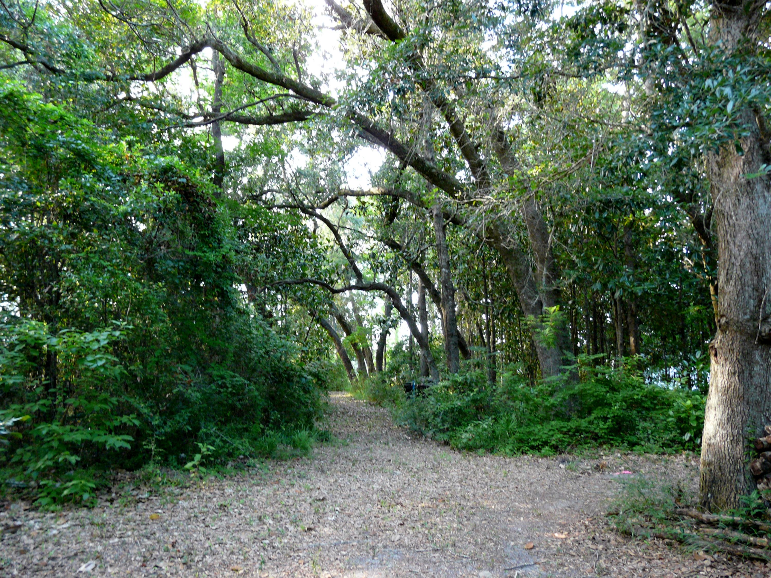 AVALON BEACH - Residential