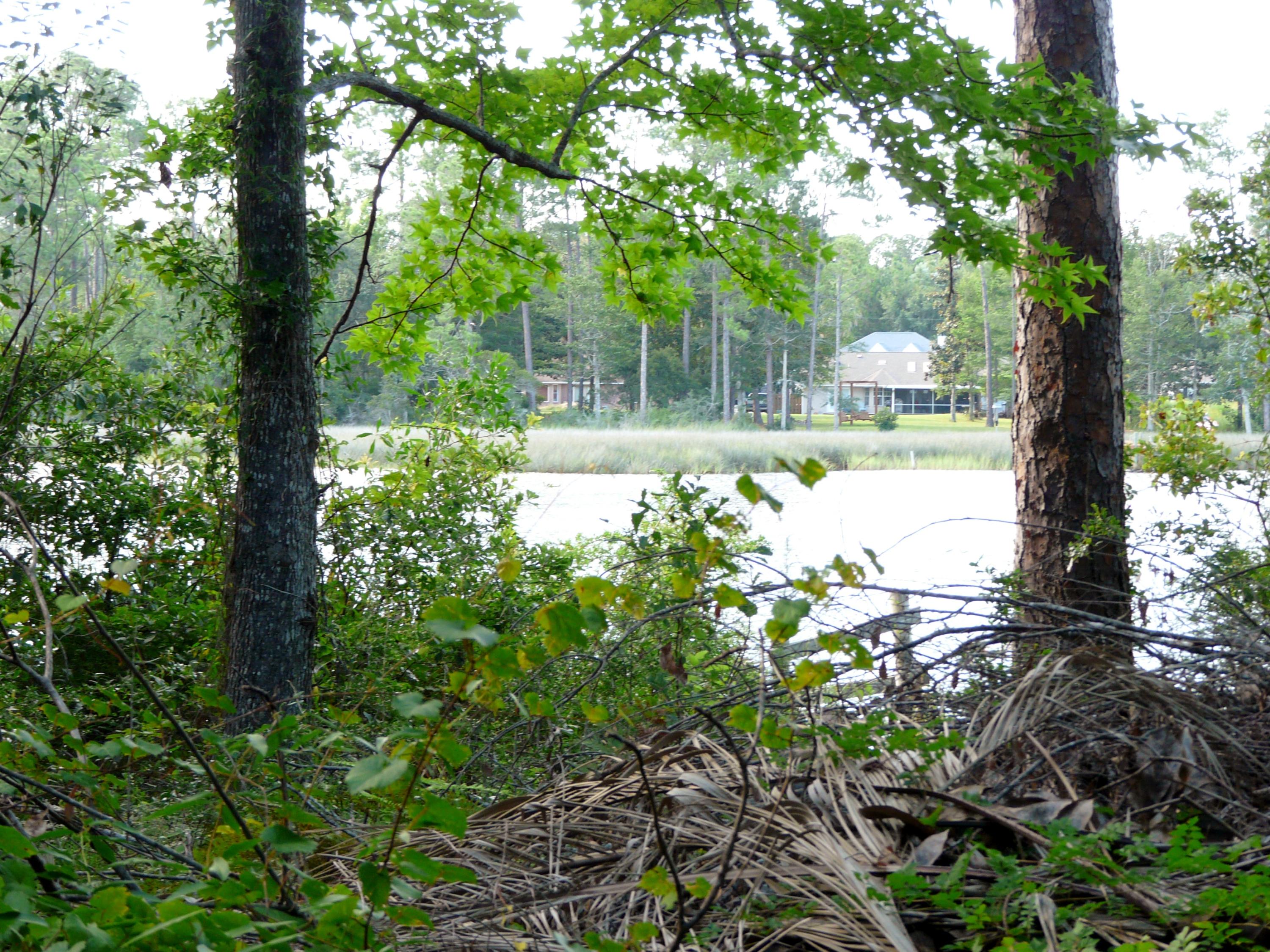 AVALON BEACH - Residential