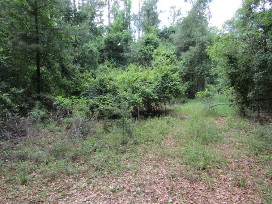 Peace and quiet and a beautiful piece of land in the Baker Fl area, surrounded by State Park land. A great place to hunt and close to Hurricane Lake if you enjoy fishing. This would be a great property for building your dream home with all kinds of privacy or maybe a small cabin for an awesome hunting camp. Call your agent today !!! Property measurements are approximate. Buyer to verify all measurements and exact acreage.