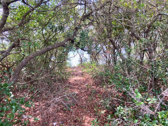 NONESUCH WAY - Land