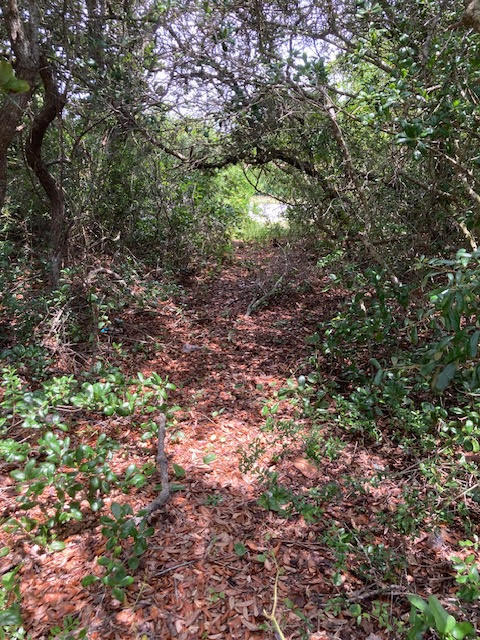 NONESUCH WAY - Land