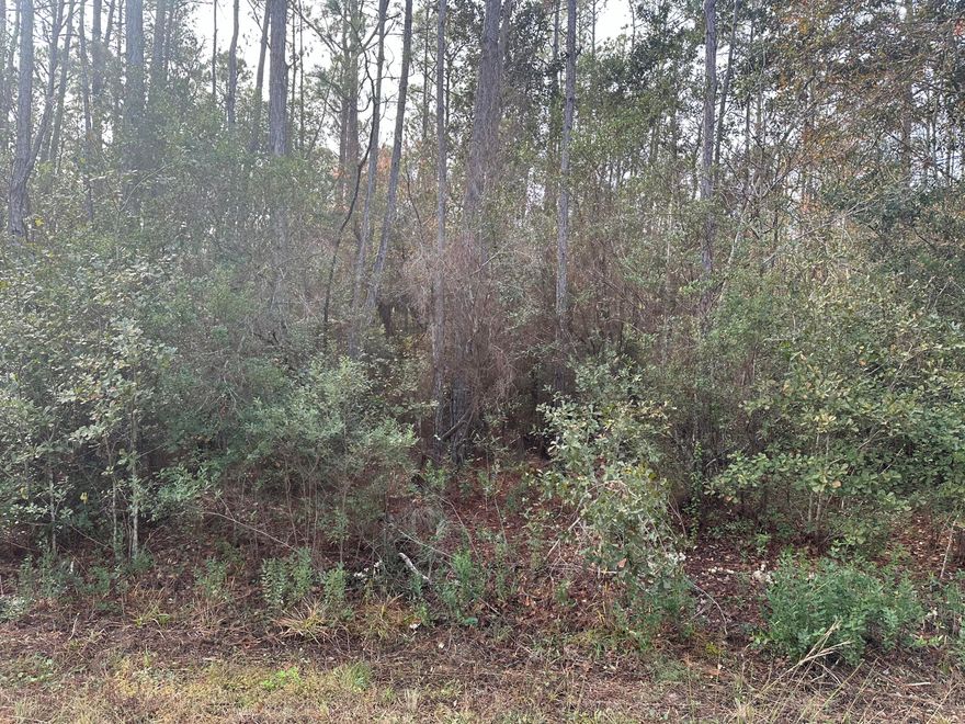 Nestled in Holley by the Sea, this .46-acre uncleared lot is a prime opportunity to craft your dream home in a vibrant community. Surrounded by natural beauty, design your perfect residence on this blank canvas. Whether you envision a cozy retreat or a luxurious home, the options are limitless. Conveniently close to a park and recreation center, residents enjoy sports fields, tennis courts, swimming pools, a soundside beach with a fishing pier, fostering a communal, active lifestyle. Deeded water access adds allure for water enthusiasts, providing opportunities for boating, fishing, and coastal tranquility. Don't miss this chance to shape your paradise!