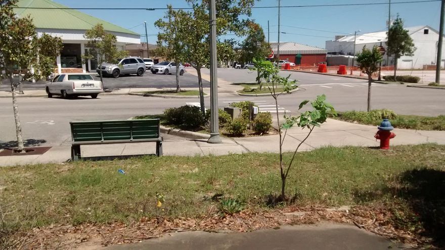Great opportunity in a FANTASTIC location, downtown Crestview with a city bench right in front of lot. Double lots 23 and 24. In the heart of the hub of commercial business and near the new courthouse which you can see from the front of the lot. Very little land left in this growing downtown area, get it while you can before the courthouse is completed. Owner will finance with 10% down, terms to be determined between Seller and Buyer. Three sides open for access, the front, side, and alley behind the lot. Seller willing to rent/lease lot to food truck, etc.