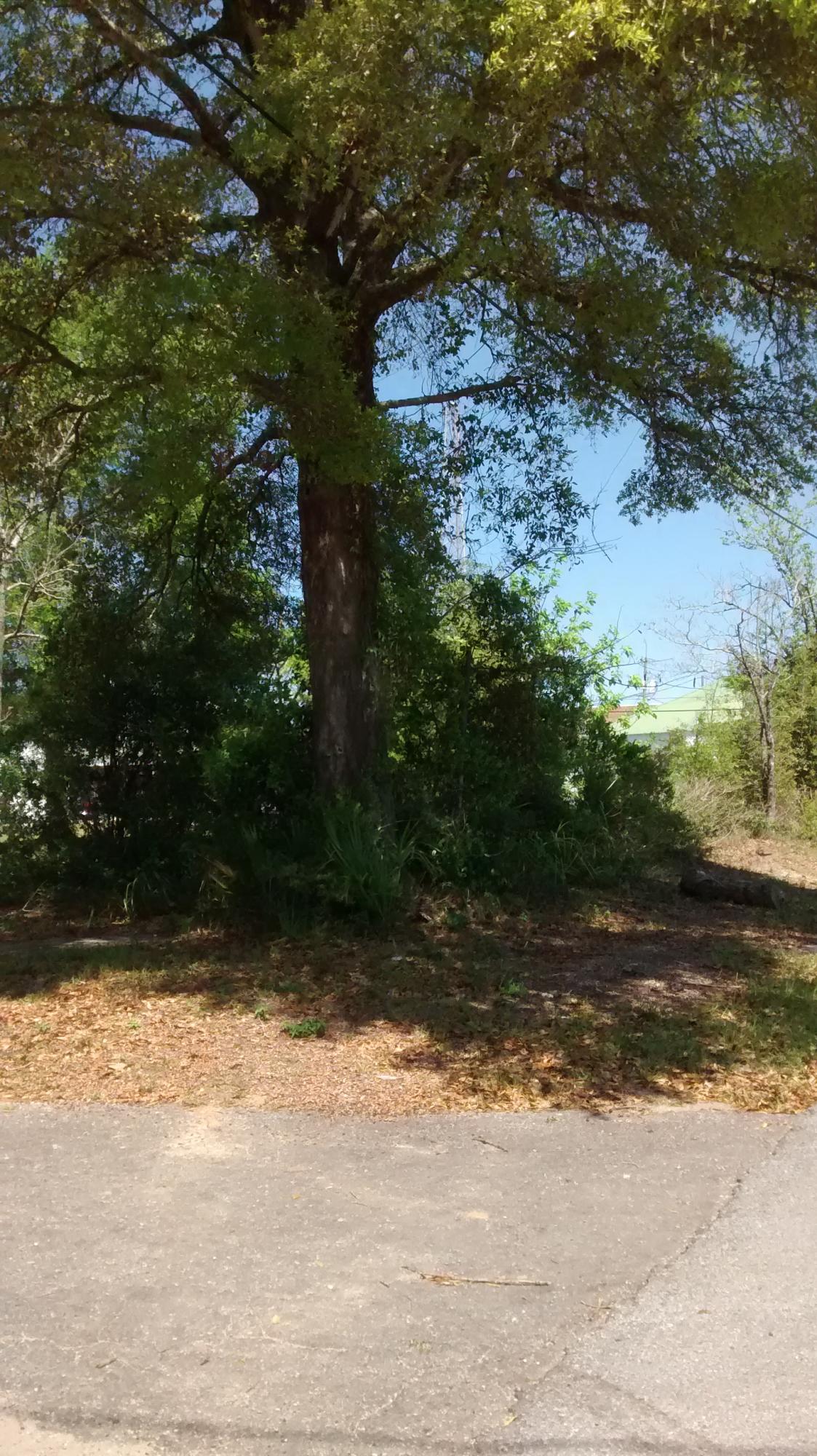 CITY OF CRESTVIEW - Land