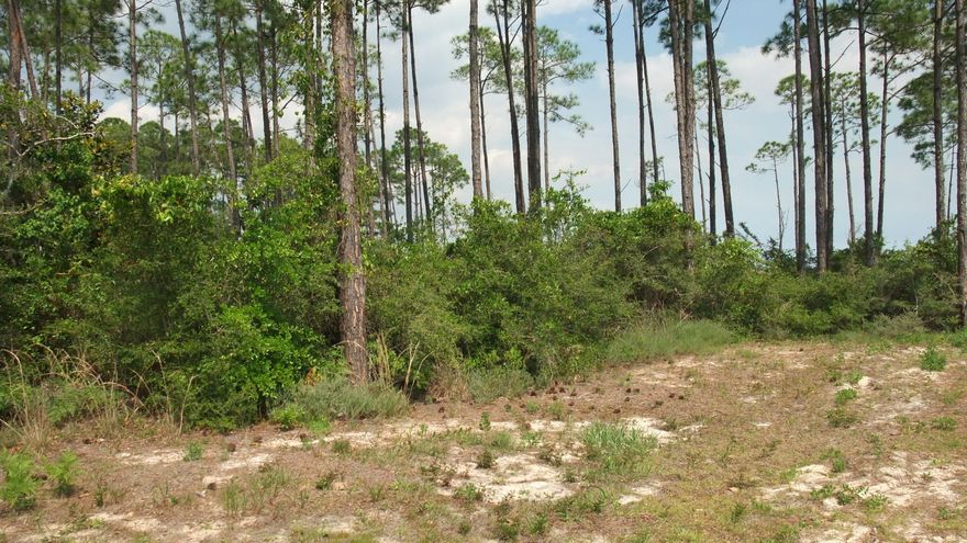 Very nice lot with a gorgeous UNOBSTRUCTED view of the WATER. BOAT SLIP across the way.