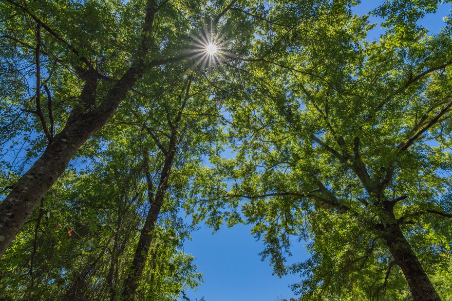 9.8+/- Acre parcel Bring you floor plans . Just north of Crestview High! Paved road access.