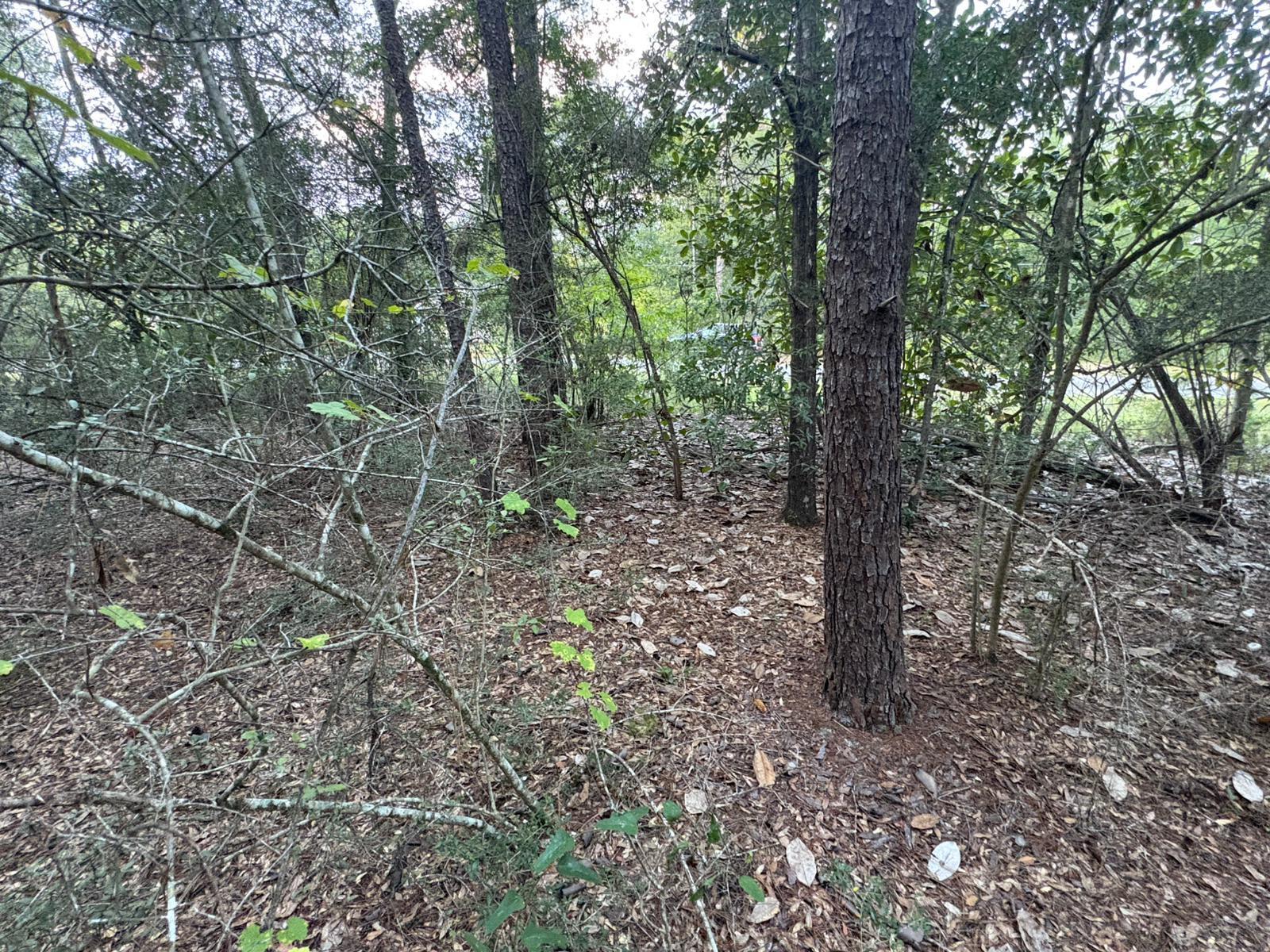 OAKWOOD HILLS UNIT 3 - Land