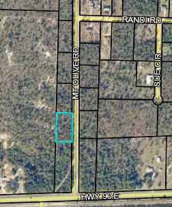 Attention developers! Great opportunity to build in East Crestview, just off of Hwy 90. Surrounding 9 lots on Mt. Olive available as well. Perfect to build a small subdivision!
