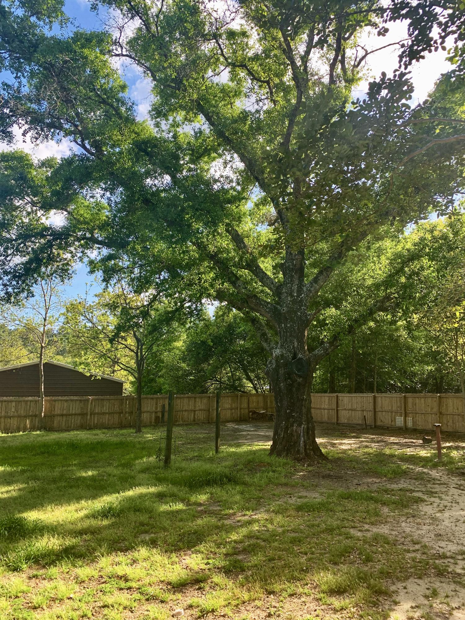 OAKCREST F & G PLAT 4 - Residential