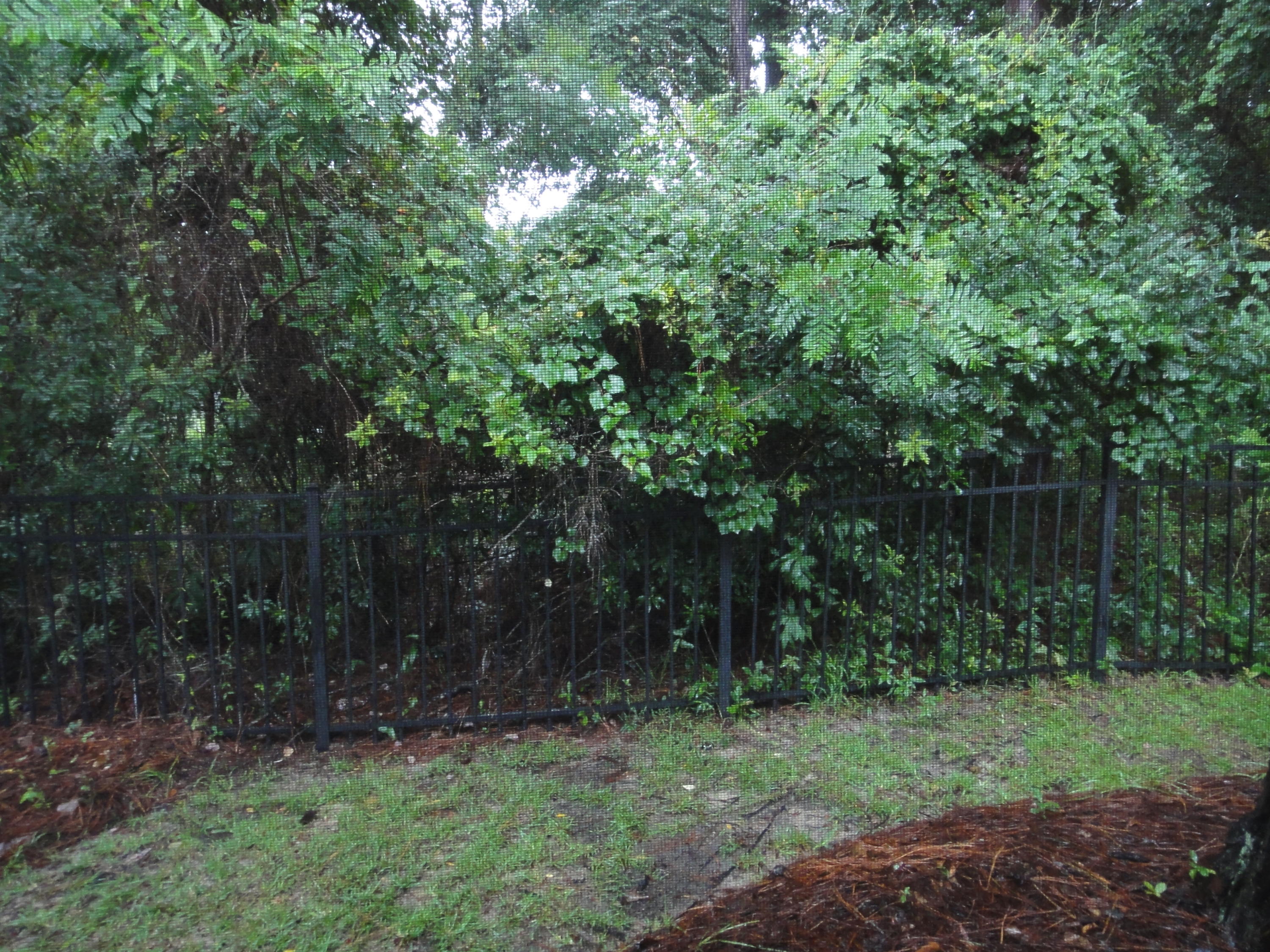 MILLERS RUN AT BLUEWATER BAY - Residential