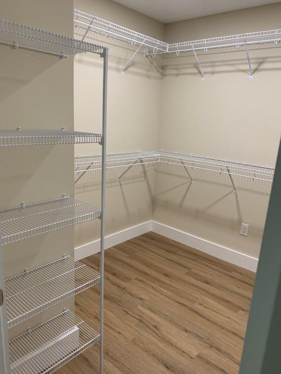 Willow Street - Residential Lease