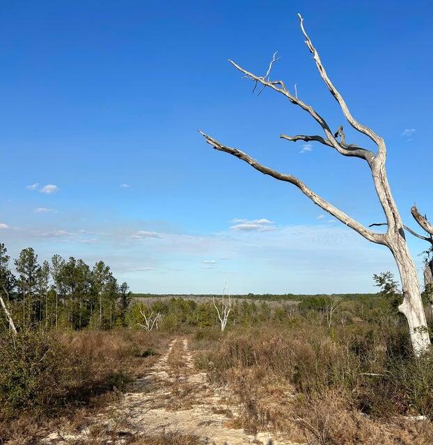 If you are in search of a spectacular view that's very private this could be it. This parcel is one of the highest points in Ponce de Leon with portions being approximately 160 feet. Interstate 10 is only a couple miles away. The Westville water tower can be seen from miles away. This parcel has many options such as development, hunting, or private homesite. 90% of property is in Flood Zone X meaning it is not likely to flood. Property rolls downhill to a wet weather area which could be a potential site to develop a pond. Timber was cut a few years ago. Must see to appreciate the natural beauty of the land. Schedule a showing today.