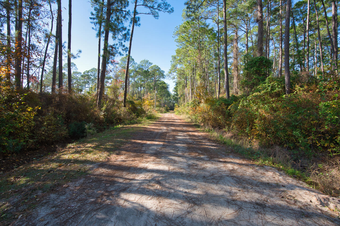 PEPPERTREE FARMS - Land