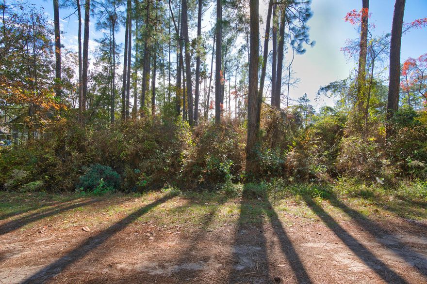 Build your dream home just 10 minutes from beautiful gulf beaches and all the treasures of 30A! Enjoy peace an privacy on your unspoiled third acre lot. Power is on the road. Be advised that wetlands are present on the property. Buyer should verify all details.