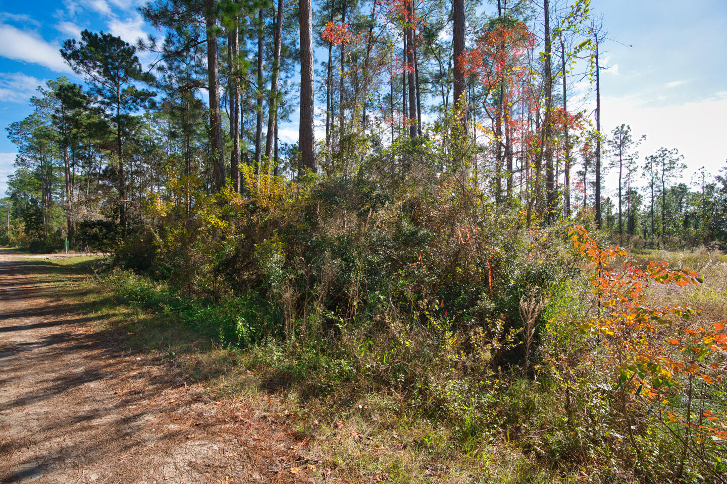 PEPPERTREE FARMS - Land