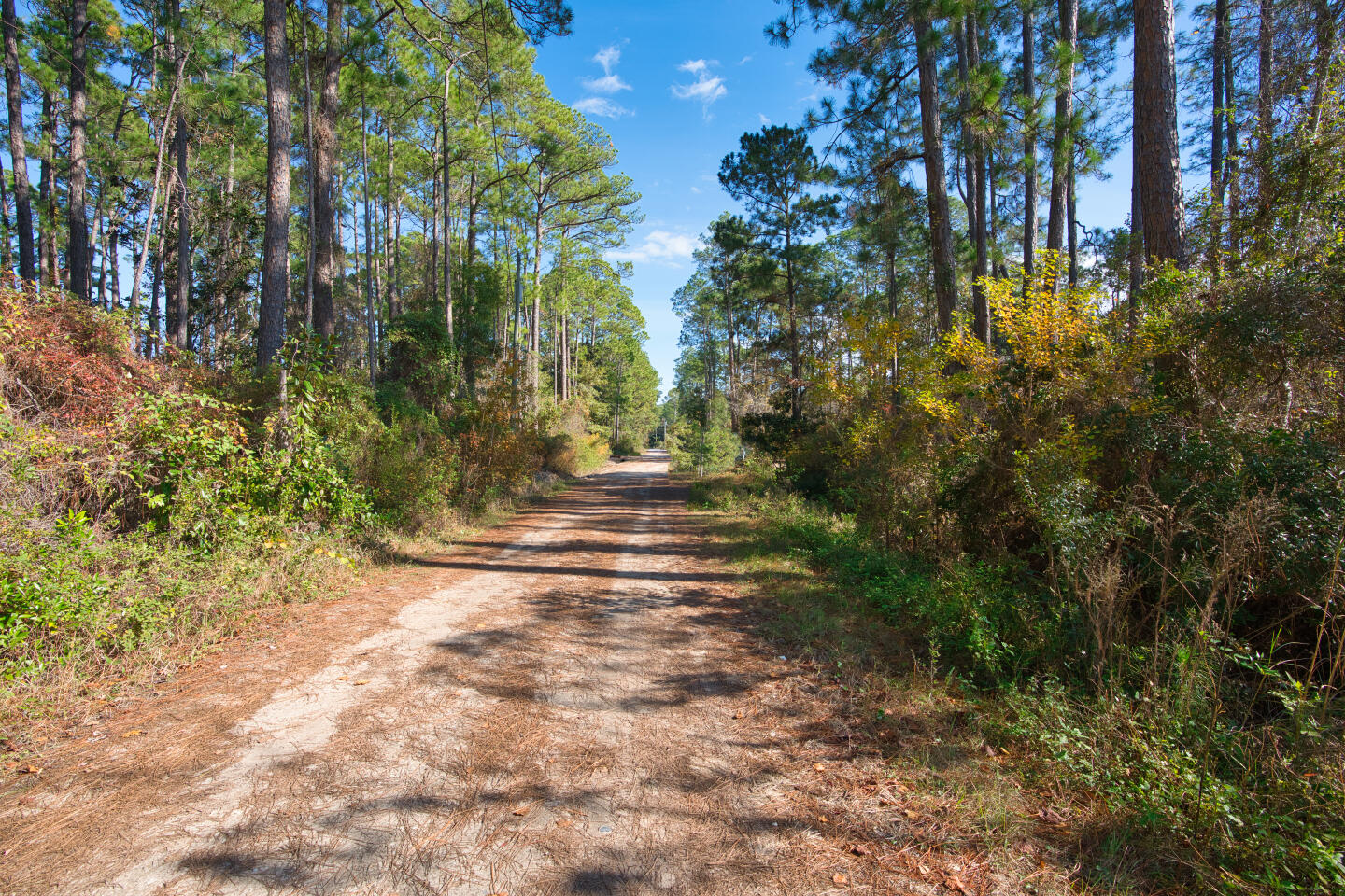 PEPPERTREE FARMS - Land