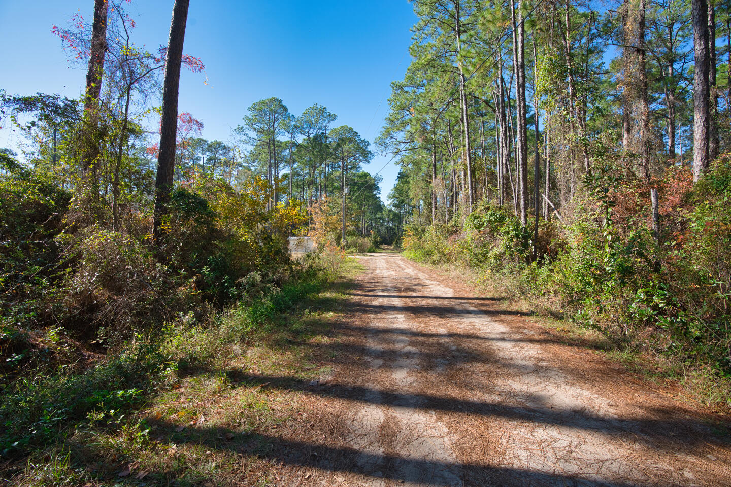 PEPPERTREE FARMS - Land