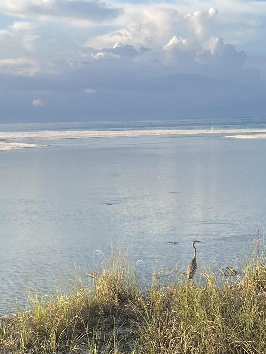 GRAYTON BEACH - Land