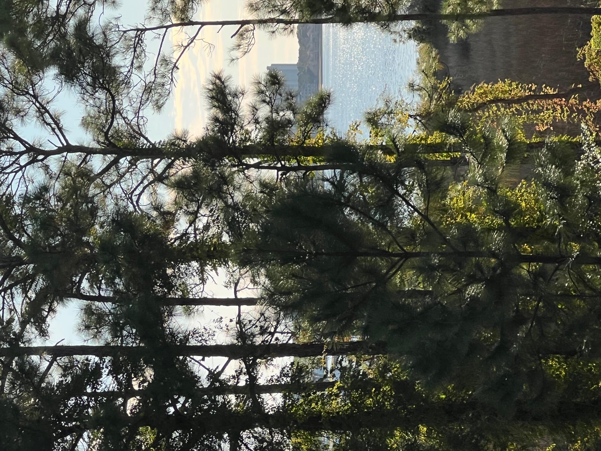 LASATA - Residential