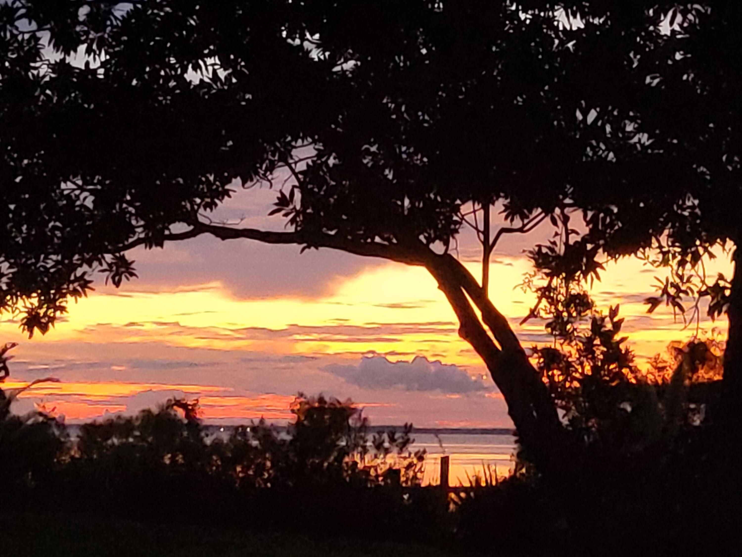 MOSSY COVE - Residential