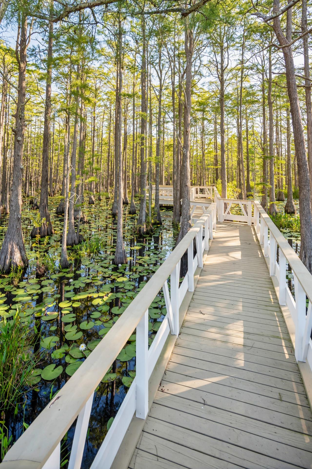 CYPRESS DUNES - Residential