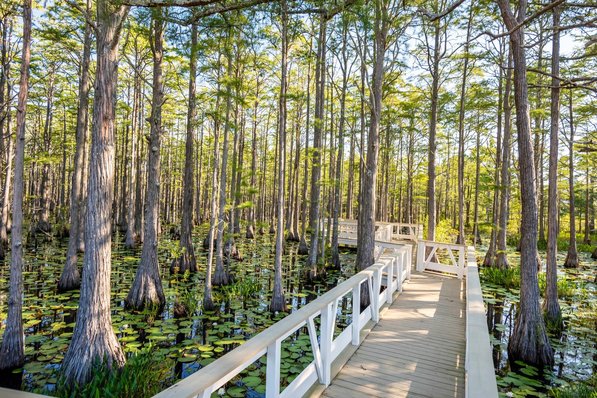 CYPRESS DUNES - Residential