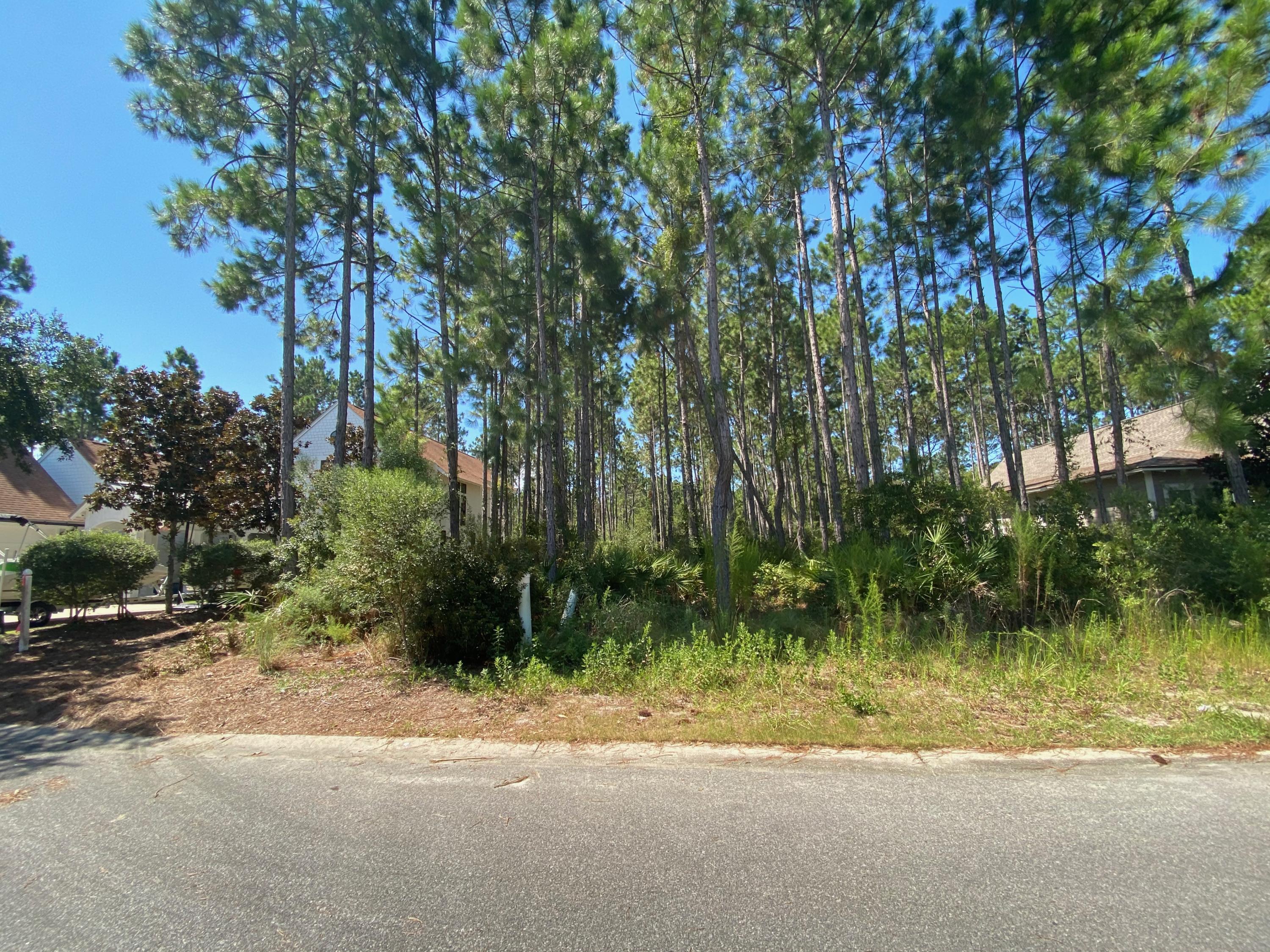 WINTER GARDEN 2 AT WATERSOUND - Land