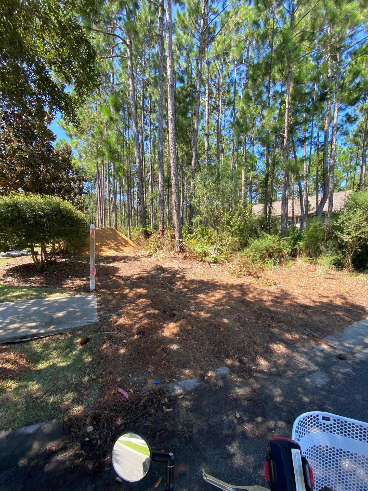 WINTER GARDEN 2 AT WATERSOUND - Land