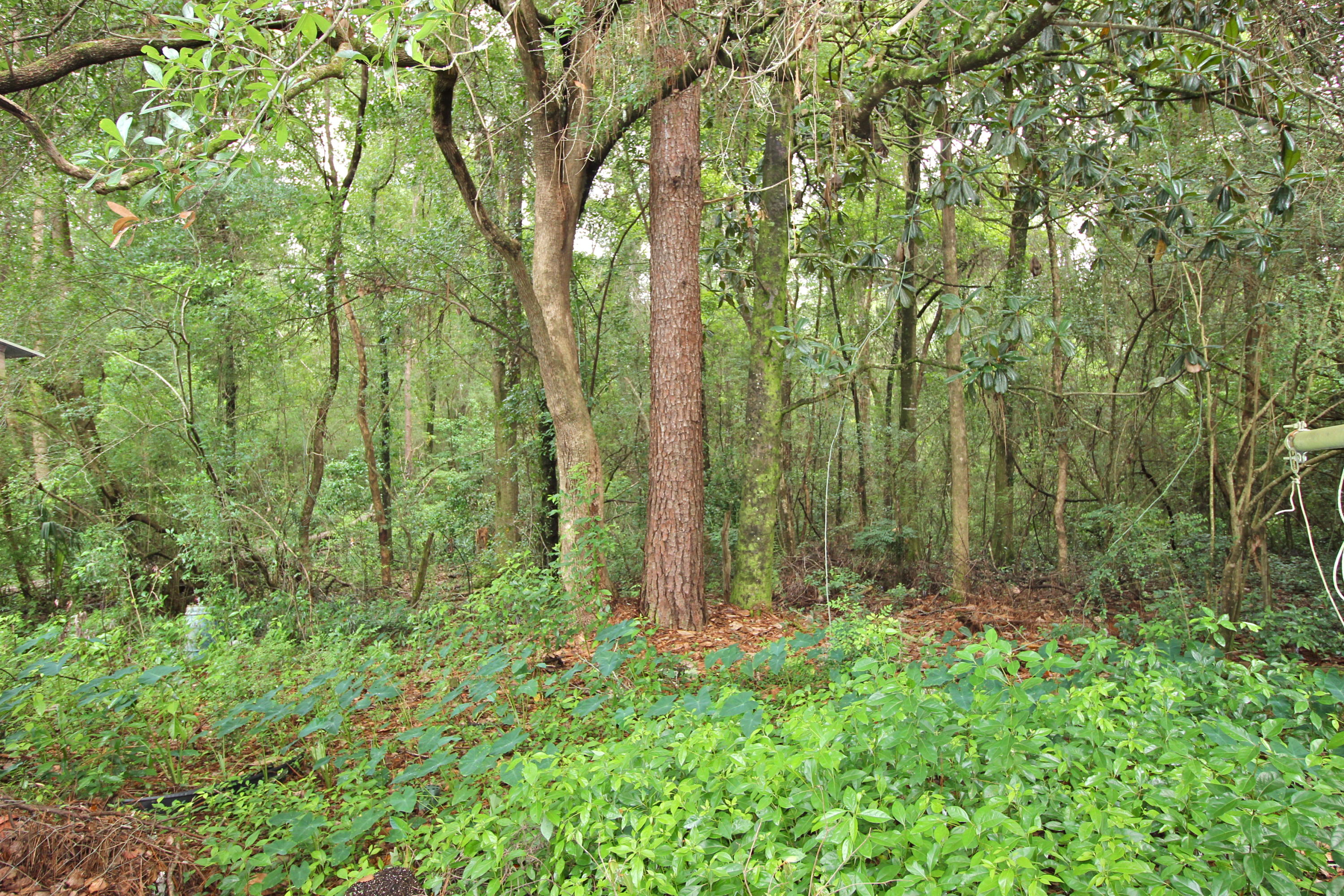 OAKLAWN - Residential