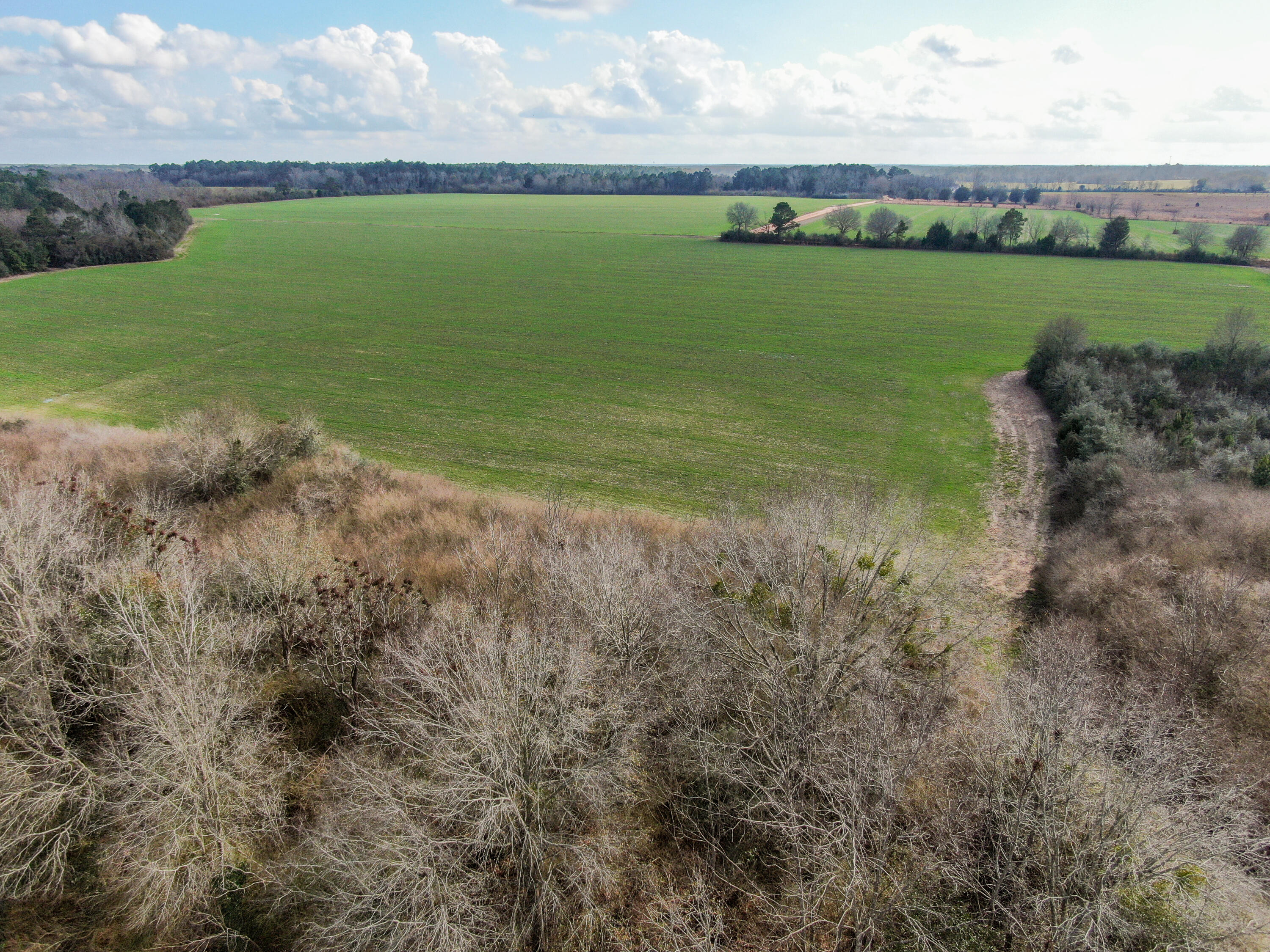 METES & BOUNDS - Land