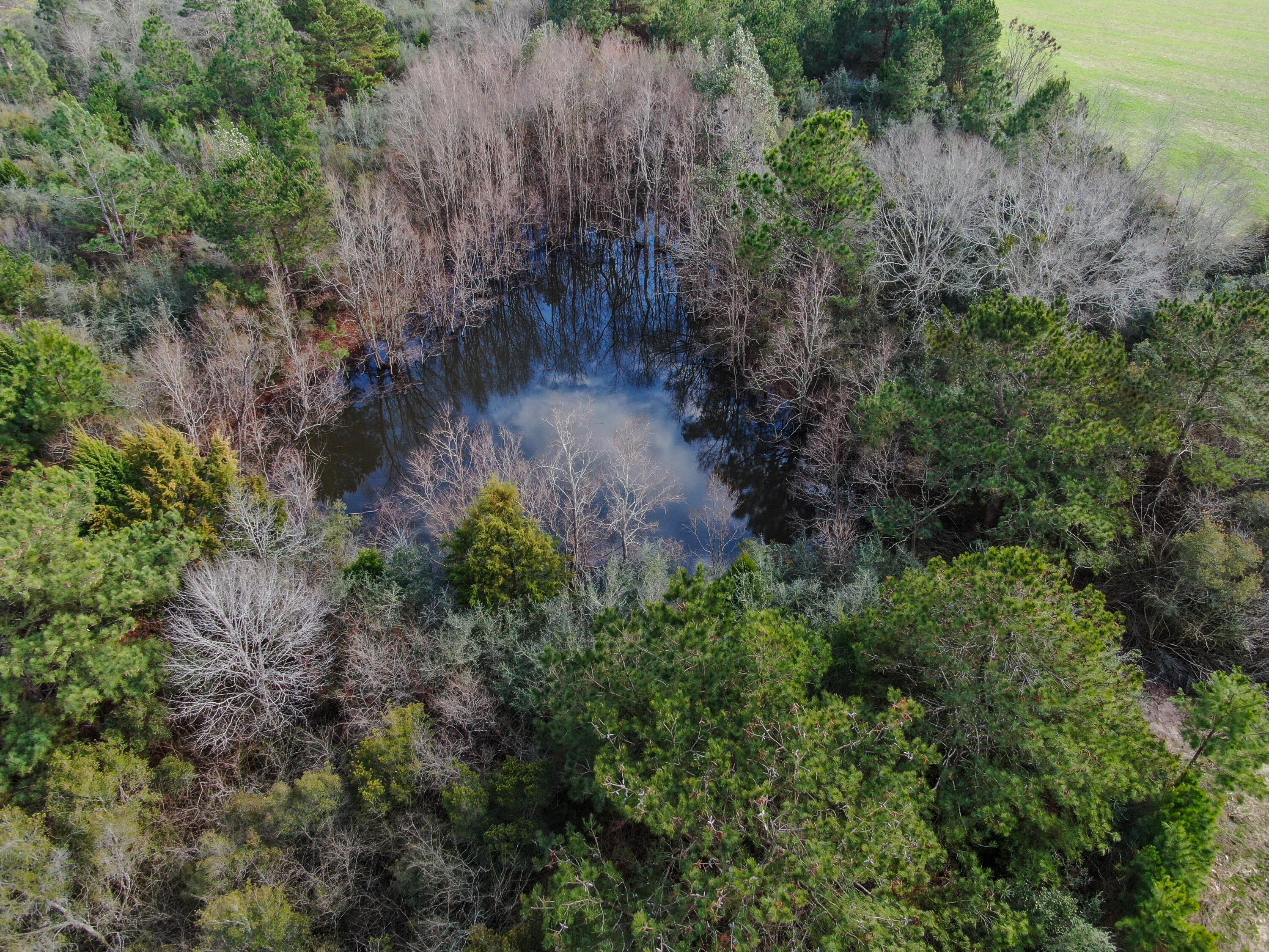 METES & BOUNDS - Land